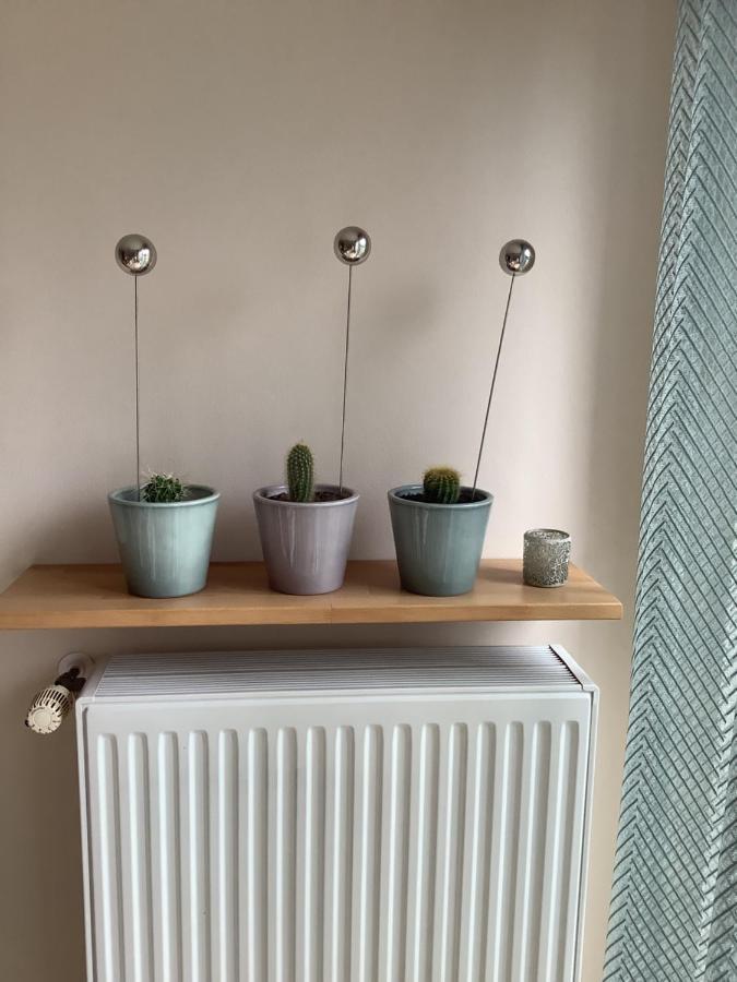 Apartment Helle Freundliche 50qm Mit Garten Zum Wohlfuehlen *