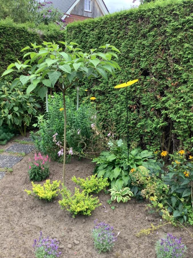 Helle Freundliche 50qm Mit Garten Zum Wohlfuehlen *